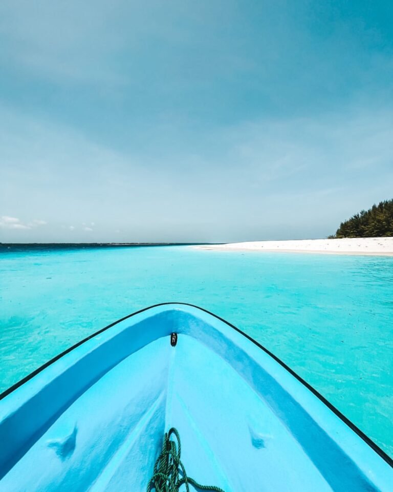 frenchieejoy_d3a508f621364ab7bb4e151d6c7ac260