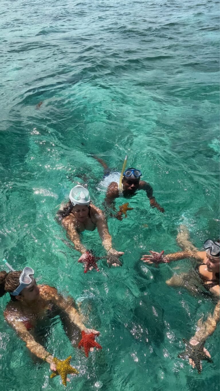 514669173_18509426182020805_2564318171957672571_n